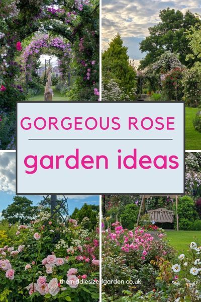 Side Yard Rose Garden, Rose Pergola Ideas, Rose Garden Ideas Backyards, Rose Garden Design Ideas, Rose Arches Garden, Small Rose Garden Ideas, French Garden Ideas, Formal Rose Garden, Rose Fence