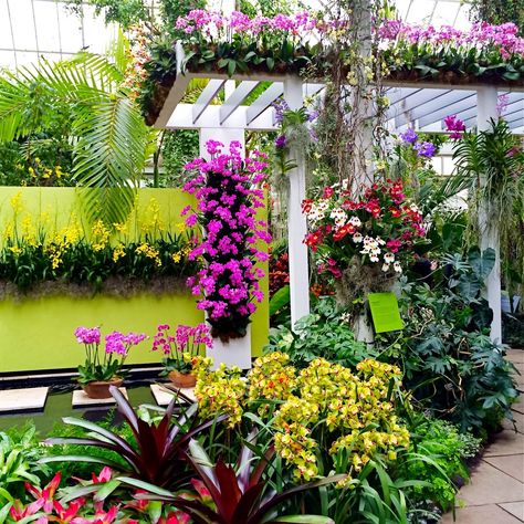 Orchid House, New York Botanical Garden, Orchid Show, Backyard Greenhouse, Orchids Garden, Purple Garden, Castle Garden, The Orchid, Garden Images