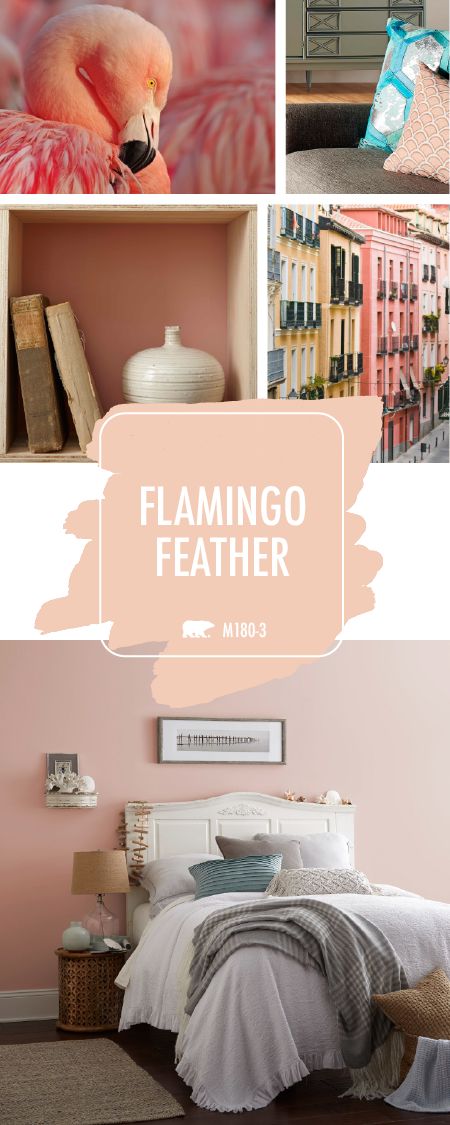 With such a gorgeous light blush hue, it’s no wonder that Flamingo Feather is BEHR’s Color of the Month. Click here to find inspiring ideas on how you can use this trendy color in your home. Pair with cream and gold accents to create a warm and inviting look with a subtle girly style. Check out the rest of this article to see more. Flamingo Feather, Color Of The Month, Behr Paint, Girly Style, Room Paint, Cream And Gold, Bedroom Colors, Room Colors, My New Room