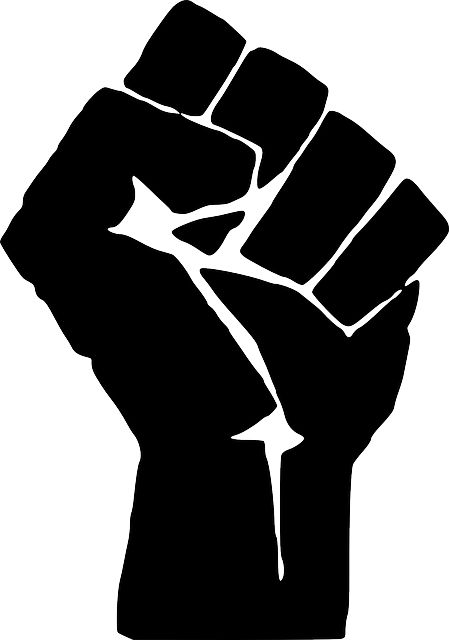 Free Image on Pixabay - Fist, Fight, Finger, Hand Black Lives Matter Poster, Black Lives Matter Art, Black Panther Party, Civil Rights Movement, Navy Seals, Black Power, Civil Rights, Social Justice, Black Panther