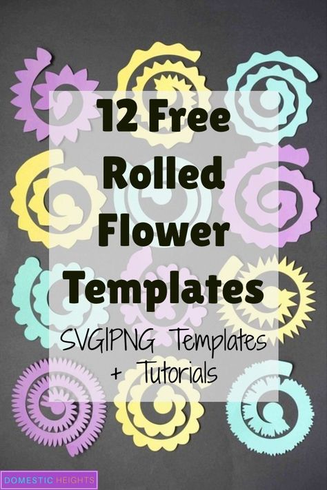 rolled paper flower template free, cricut flower template free, rolled flower cricut Beginner Cricut, Free Paper Flower Templates, 3d Paper Flowers, Rolled Paper Flowers, Crafts Animals, Svg Templates, Paper Flower Art, Flower 3d, Flower Shadow Box