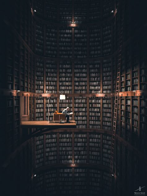 Lots Of Books, Old Libraries, Dream Library, Beautiful Library, Library Aesthetic, Home Libraries, Lukisan Cat Air, Diy Photography, Library Design