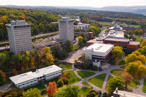 Ithaca College Aesthetic, College Photo, Ithaca College, Finger Lakes Ny, College Aesthetic, College Friends, Finger Lakes, Student Success, Group Work