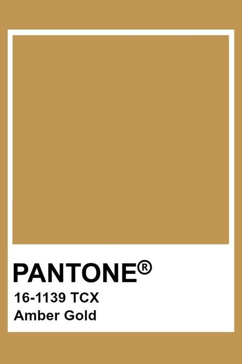 Amber Gold Golden Pantone, Pantone Tcx, Yellow Pantone, Pantone Color Chart, Pantone Swatches, Pantone Palette, Pantone Colour Palettes, Pantone Colors, Color Chip