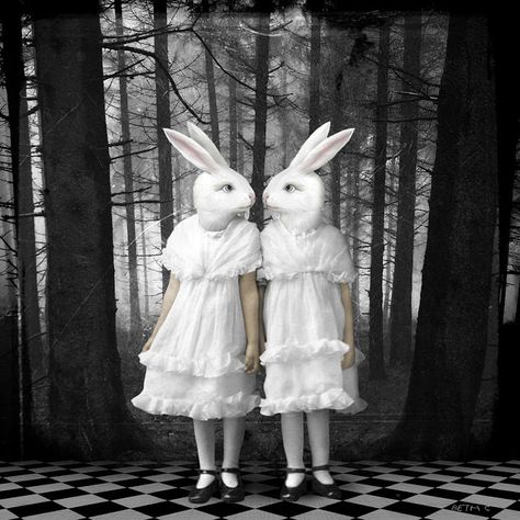 Dark Alice In Wonderland, Arte Occulta, Alice In Wonderland Aesthetic, Creepy Vintage, Follow The White Rabbit, Here On Earth, Creepy Cute, White Rabbit, Dark Aesthetic