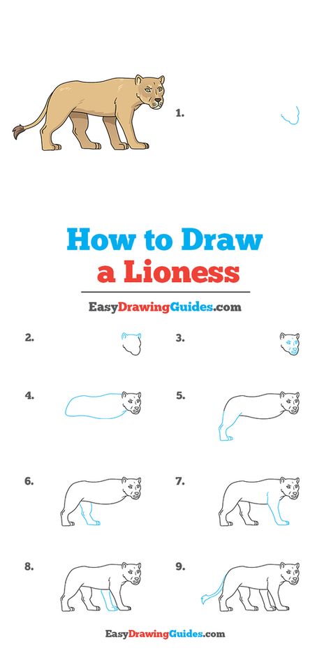 Lioness Drawing Lesson. Free Online Drawing Tutorial for Kids. Get the Free Printable Step by Step Drawing Instructions on https://easydrawingguides.com/how-to-draw-a-lioness/ . #Lioness #LearnToDraw #ArtProject How To Draw A Lioness Step By Step, Lioness Drawing Simple, Lioness Drawing, How To Draw Simba, Christmas Drawings For Kids, Trin For Trin Tegning, Ancient Egyptian Statues, Female Lion, Cartoon Drawings Of Animals