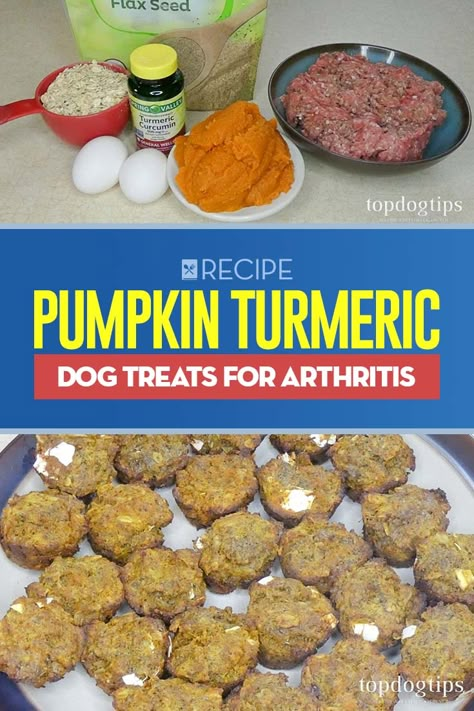 Turmeric Dog Treats Homemade, Pup Treats, Easy Dog Treat Recipes, Dog Breeding, Dog Biscuit Recipes, Easy Dog Treats, Healthy Dog Treats Homemade, Dog Treats Homemade Recipes, Reduce Swelling