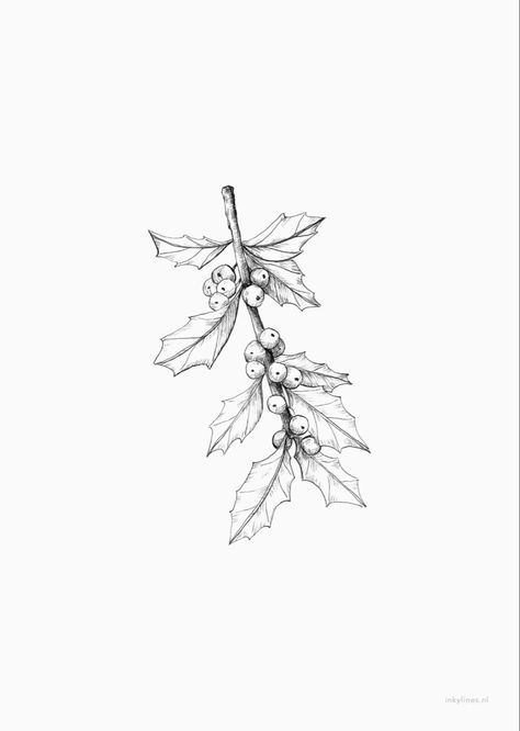 December Birth Flower Tattoo Holly, Holly Tattoo, Profile Tattoo, Winter Tattoo, Tattoos Flowers, Flowers Branch, Holly Flower, Holly Branch, Flower Spine Tattoos