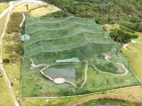 Walk In Bird Aviary, Tropical Aviary, Bird Enclosure, Reban Ayam, Zoo Project, Zoo Architecture, Plettenberg Bay, Bird Sanctuary, What Is A Bird