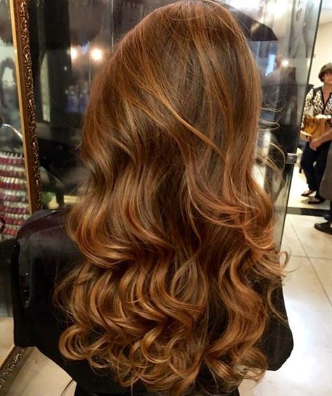 Chestnut Highlights Curly Hair, Red Honey Hair, Cobre Hair Color, Honey Hair Color Caramel, Cinnamon Hair Color With Highlights, Dark Auburn Hair With Highlights, Chestnut Balayage Brunettes, Caramel Brown Balayage, Cinnamon Hair Colors