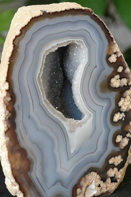 Grandma was a rock-hound.  She had slices of jasper, agates, thunder-eggs all around her house, as well as rocks.  Tumbled, untumbled.  Lovely things.  Blue Lace Agate Geode Art, Pretty Rocks, Cool Rocks, Beautiful Rocks, Agate Geode, Mineral Stone, Minerals And Gemstones, Rocks And Gems, Blue Lace Agate