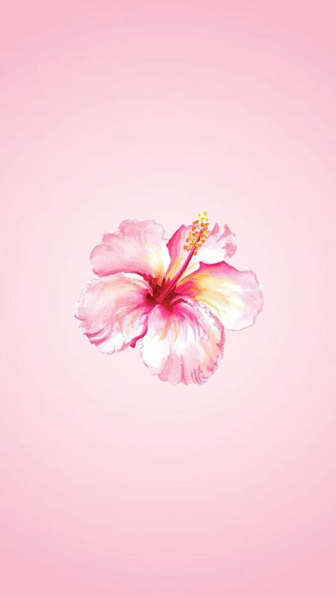 #pink #tropical #tropicalflower #pastel #lightpink #plain #wallpaper #aesthetic #widget Wallpaper Aesthetic Widget, Desktop Wallpaper Summer, Pink Flower Wallpaper, Pink Wallpaper Laptop, Plain Wallpaper Iphone, Pastel Pink Wallpaper, Pink Wallpaper Ipad, Aesthetic Widget, Cute Home Screen Wallpaper