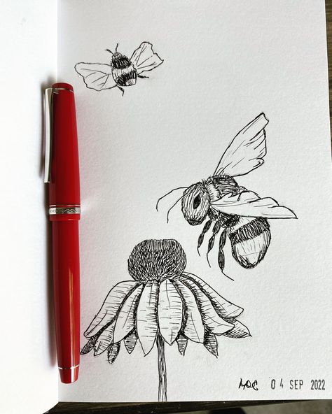 Micron Pen Art Simple, Micron Pen Drawing, Pen Artwork, Bee With Flowers Drawing, Bee Sketch Cute, Drawings Of Bees And Flowers, Bee Pencil Sketch, Bee Pen Drawing, Bee Sketch