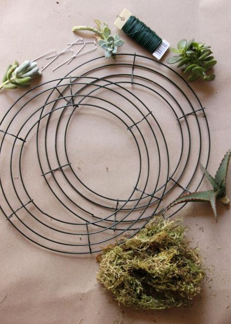 Succulent Wreath Diy, Succulent Wall Hanging, Vertical Succulent Gardens, Succulent Pumpkin, Living Wreath, Garden Gloves, Pumpkin Arrangements, Hgtv Garden, Fancy Flowers