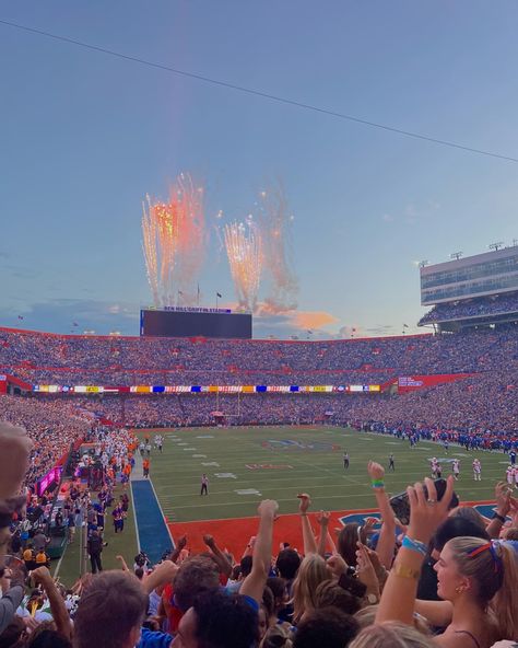 Uf Sorority, University Of Florida Aesthetic, Uf Aesthetic, Uf Campus, Uf Football, Florida University, Delta Dawn, Florida College, Uf Gators