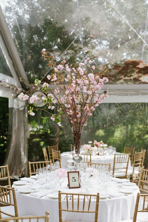 Faux Cherry Blossom Tree Wedding, Cherry Blossom Centerpiece Wedding, Cherry Blossom Wedding Centerpieces, Old Hollywood Style Wedding, Hollywood Style Wedding, Cherry Blossom Wedding Decor, Cherry Blossom Centerpiece, Cherry Wedding, Barn Wedding Centerpieces