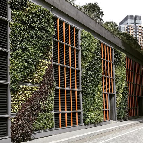 Outdoor Green Wall Design, Vertical Garden Facade, Vertical Plant Wall Outdoor, Vertical Green Wall Outdoor, Indoor Green Wall Design, Green Wall Exterior, Vertical Garden Design Outdoors, Vertical Garden Building, Green Wall Facade