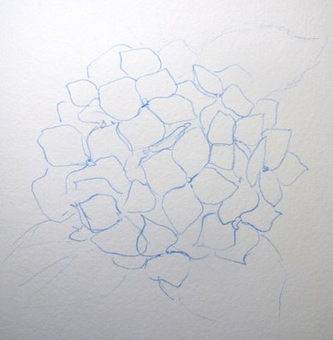 Everyday Artist: Step-by-Step Watercolor: How to Paint a Blue Hydrangea Watercolor Hydrangea, Hydrangea Painting, Step By Step Watercolor, Purple I, Watercolor Video, Watercolor Lessons, Watercolor Projects, Watercolor Painting Techniques, Diy Watercolor