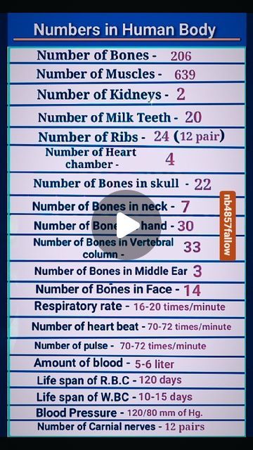 Nb on Instagram: "Very #most #important #human body #related #gk #questions and answers" Questions In English, Middle Ear, Gk Questions And Answers, Gk Questions, Nursing Notes, English Language Learning, Questions And Answers, Language Learning, Question And Answer