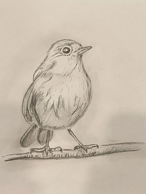 Art Inspiration: Robin On A Branch – Chocoviv’s Lifestyle Blog 2.0 How To Draw A Robin, Robin Drawing Simple, Little Bird Drawing, Robin Bird Drawing, Robin Sketch, Robin Drawing, Robin Tattoo, Bird Watercolor Art, Branch Drawing