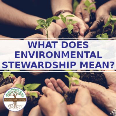 What Does Environmental Stewardship Mean? https://anchor.fm/dynamic-earth-learning/episodes/What-Does-Environmental-Stewardship-Mean-e1c148h What Is Deforestation, What Is Resilience, Earth Science Lessons, Sustainability Education, Environmental Stewardship, Save Mother Earth, Sustainable Environment, Science Lesson Plans, Science Topics