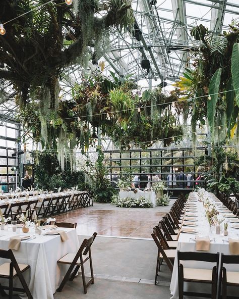 Iman Lee | Destination Events | A look into this beautiful indoor garden wedding with reception details 🤍 Planner @imanleeevents Photographer @_ginandjuly… | Instagram Greenhouse Wedding Centerpieces, Botanical Garden Wedding Decor, Wedding Reception Greenhouse, Botanical Garden Wedding Reception, San Diego Botanic Garden Wedding, Houseplant Wedding, Garden Wedding Indoor, Greenhouse Wedding Reception, Indoor Garden Wedding Reception