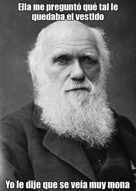 Charles Darwin humor. Julia Margaret Cameron, Victorian Men, Origin Of Species, Odilon Redon, Theory Of Evolution, Natural Selection, Charles Darwin, Jolie Photo, Zoology