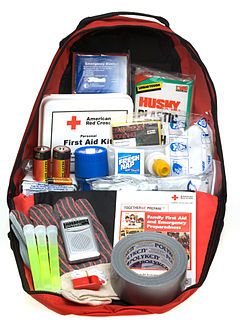 What’s in your “Bug-out-bag?” | Use Your Library Voice Emergency Blanket, Emergency Preparedness Kit, Emergency Preparation, Good Year, Emergency Supplies, Survival Kits, Being Prepared, Emergency Prepping, Disaster Preparedness