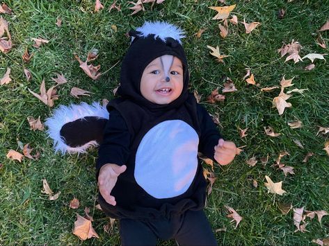 #baby #halloweencostume #babyhalloween #babyskunk #skunk #skunkmakeup Skunk Makeup, Toddler Skunk Costume, Skunk Halloween Costume, Baby Skunk Costume, Skunk Halloween, Skunk Costume, Baby Skunk, Baby Skunks, Baby Halloween