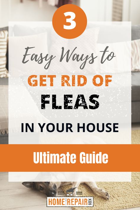 3 fleas remedies to get rid of fleas How To Get Of Fleas In House, Cat Fleas Get Rid Of, Flees On Dogs How To Get Rid Of, Getting Fleas Out Of House, How To Get Rid Of Cat Fleas In House, How To Keep Fleas Out Of House, Natural Flea Spray For House Cats, All Natural Flea Spray For Home, Diy Get Rid Of Fleas In House