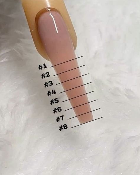 Fake Nail Length Chart, Square Nails Length Chart, Ballerina Nail Shape Long, Acrylic Nails Sizes Chart Length, Different Nail Shapes And Lengths, Acrylic Nail Sizes Chart Length, Nails Length And Shape, Different Lengths Of Nails, Square Nail Lengths