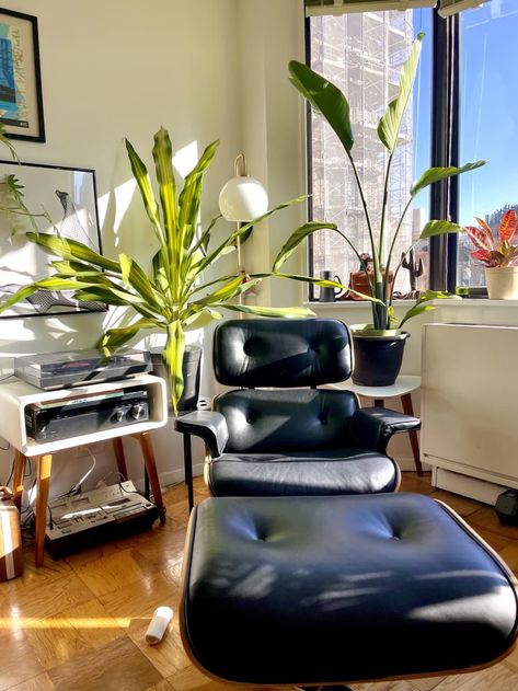 Eames Chair Living Room, Black Eames Chair, Small Nyc Apartment, Mid Century Leather Chair, The Smell Of Coffee, Leather Chair Living Room, King Furniture, Black Leather Chair, Maximalist Design