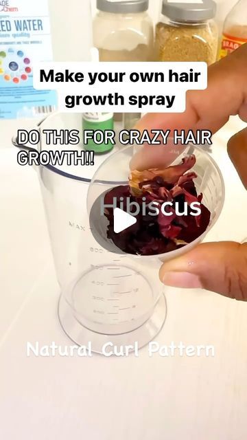 Hair Growth Serum/ Natural Healthy Hair/ Grow hair Fast on Instagram: "This is such an easy DIY Conditioning spray that results in crazy hair growth. This is great to use an hour before Shampooing. All natural ingredients but maximum hair growth. You’ll see the difference in your hair with consistency. Follow for more hair care tips and natural remedies for healthier hair. 💜✌️ Natural Curl Pattern #natural.curl.pattern #haircoach #naturalhair #longhair #naturalhair #natural #naturalbeauty #fyp #fypage #naturalremedies #fenugreek #amla #hairgrowth #hairserum #hairtechniques #hairtea" Diy Hair Growth Spray, Fast Natural Hair Growth, Diy Hair Growth Oil, Hair Growth Serum Diy, Fenugreek For Hair, Baby Hair Growth, Herbal Hair Care, Healthy Natural Hair Growth, Hair Growth Spray