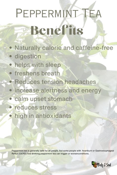 Kettle Recipes, Benefits Of Peppermint Tea, Wild Tea, Teas For Headaches, Peppermint Tea Benefits, Help With Sleep, Sleep Tea, Health Exercise, Reduce Tension