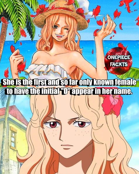 Portgas.D Rogue is the only female character in One Piece who carried the famous D in her name . #pirateking #onepiece #ace Portgas D Rouge, One Piece Monkey D Luffy, Luffy Zoro, One Piece Meme, One Piece Ace, Rogue One, Anime Funny Moments, One Piece Funny, One Peice Anime