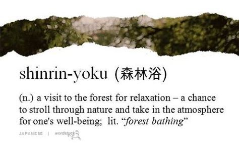 shinrin-yoku (n.) a visit to the forest for relaxation ~ a chance to stroll through nature and take in the atmosphere for one's well-being: lit. "forest bathing" Hike Aesthetic, Tattoo Text, Forest Tattoo, Shinrin Yoku, Foreign Words, Unique Words Definitions, Japanese Quotes, Uncommon Words, Forest Bathing