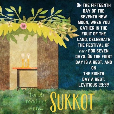 “So on the fifteenth day of the seventh month, when you have gathered in the fruits of the land, you are to keep the Feast of Adonai for seven days. The first day is to be a Shabbat rest, and the eighth day will also be a Shabbat rest. Leviticus 23:39 TLV Marriage Supper Of The Lamb, Leviticus 23, Feast Of Tabernacles, Strong Faith, Bride Of Christ, Sukkot, Set Apart, The Eighth Day, Gods Grace