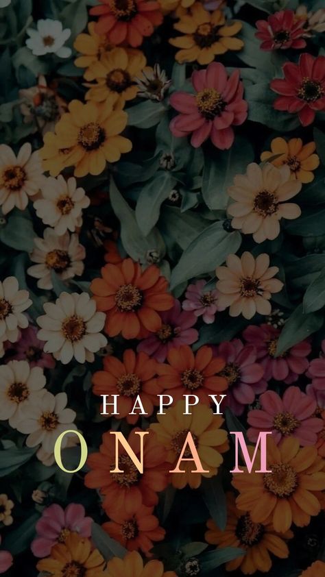 Onam Videos Status, Onam Status Image, Happy Onam Video Status, Onam Status, Onam 2023, Onam Quotes, Onam Songs, Onam Pictures, Easter Images Jesus