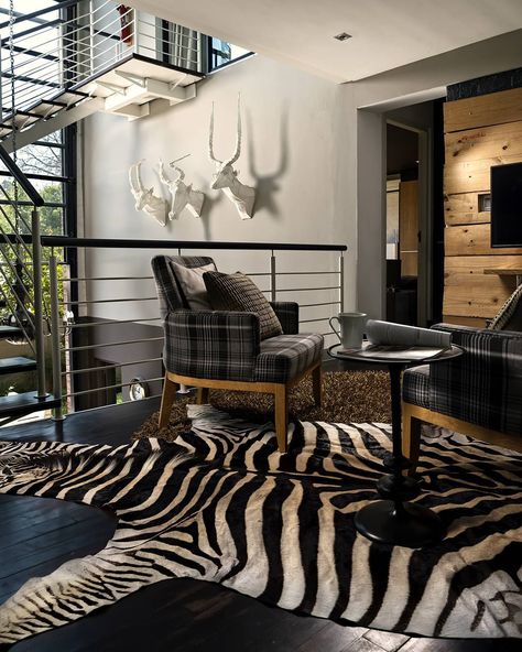 Zebra Skin Rug: How to Add Class to Your Interiors. Zebra Rugs, Zebra Hide Rug, Zebra Skin Rug, Print Rugs, Zebra Decor, Zebra Hide, Zebra Rug, Living Room Classic, African Home Decor