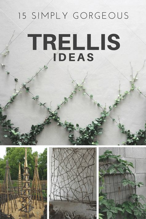 Growing stuff. It’s my fav. And there’s nothing more fun than growing it up trellises.  The best part about using a trellis (other than making your garden look spectacular) is that you’ll free up a significant amount of space.  Take a look at these designs to maximize space and look good. #HTL #landscaping #trellis Wire Trellis, Trellis Ideas, Garden Vines, Landscape Designs, Have Inspiration, The Secret Garden, Garden Trellis, Nothing More, Garden Fence