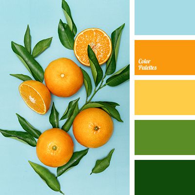 Color Palette #3702 | Color Palette Ideas | Bloglovin’ Vivid Color Palette, In Color Balance, Shades Of Yellow Color, Orange Color Palettes, Color Schemes Colour Palettes, Yellow Kitchen, Design Seeds, Color Balance, Living Room Bathroom