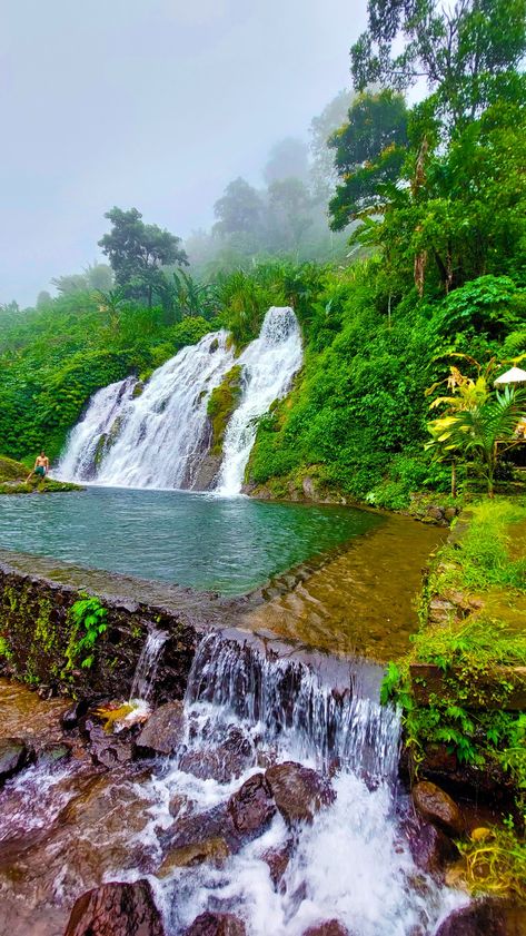 Keindahan alam Bali memukau dengan gemerlap air terjun Tirta Buana yang menawarkan keindahan luar biasa. Dengarkan suara gemericik airnya dan nikmati keindahan alam yang menenangkan di destinasi wisata ini! Panorama Alam, Juicer Recipes, Air Terjun, Alam Yang Indah, Bali, Mural, Indonesia, Water, Quick Saves