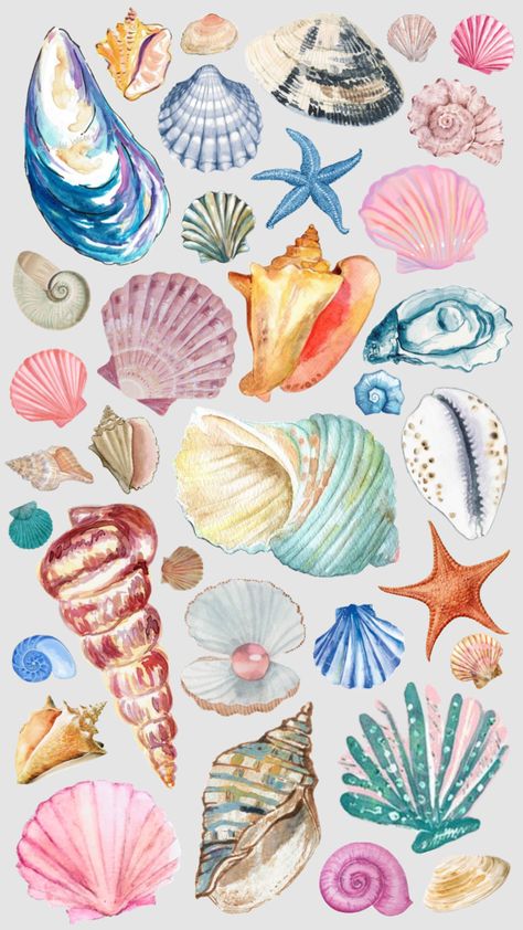 #shells #seaside #illustrations #summerinspiration #seashells #art #watercolorart Seashells Art, Iphone Wallpaper Ocean, Seashell Illustration, Diy Pottery Painting, Wallpaper Iphone Summer, Phone Art, Iphone Wallpaper Photos, Creative Painting, Print Collage