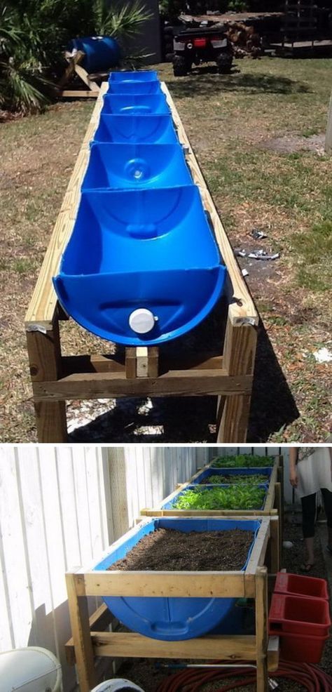 Upcycle 55 Gallon Drums for Raised Bed Gardens. Diy Raised Garden Beds, Cedar Raised Garden Beds, Diy Garden Bed, Concrete Patios, 55 Gallon Drum, Vegetable Garden Raised Beds, Building A Raised Garden, Diy Raised Garden, Raised Garden Beds Diy