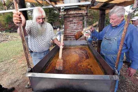 Making sorghum molasses the old-fashioned way - Salisbury Post Summer Crops, Maple Trees, Old Farm, Molasses, Salisbury, Old Fashioned, Old Things, Clock, Trees