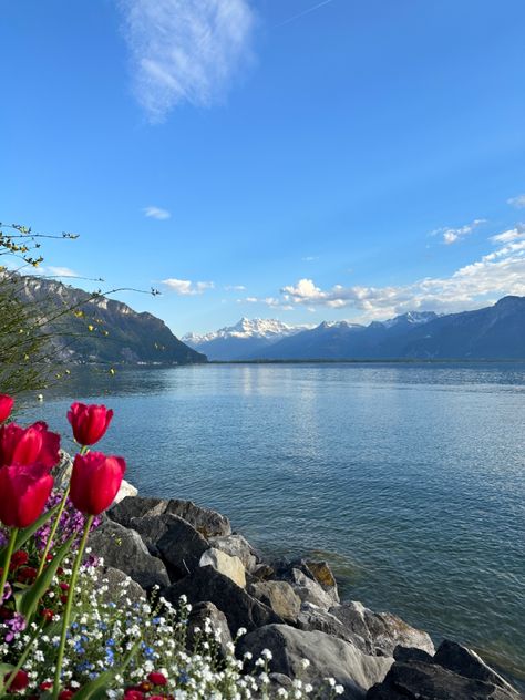 Will never get over Montreux nature. #travel #switzerland #nature Switzerland Nature, Switzerland Summer, Montreux Switzerland, Travel Switzerland, Beautiful Places To Visit, Nature Travel, Get Over It, Switzerland, Beautiful Places