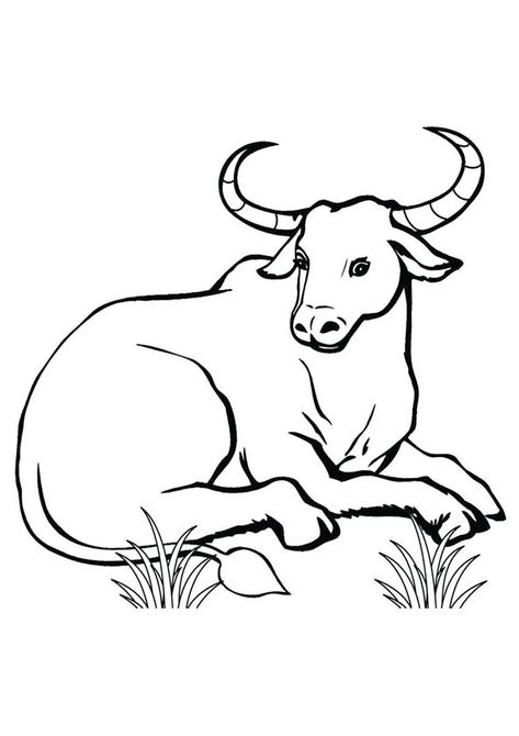 Sitting Bull Coloring Page for Kids Adults Quotes, Cow Drawing Easy, Cow Coloring Pages, Cow Drawing, Quotes Kids, Cow Colour, Cat Coloring Page, Cartoon Coloring Pages, Nature Drawing