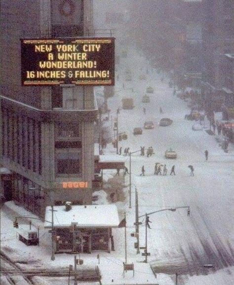 Times Square, New York, 1978. View Master, New York Aesthetic, Nyc Life, Homescreen Ideas, Vintage New York, Nyc Apartment, Arnold Schwarzenegger, Concrete Jungle, City Street