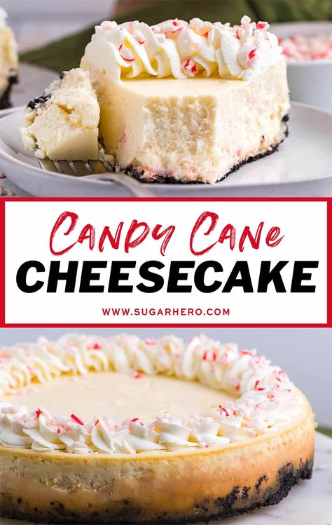 Candy Cane Cheesecake Easy Peppermint Cheesecake, Cheesecake Recipes Peppermint, Candy Cane Cheesecake Recipes, Oreo Crusted Cheesecake, Peppermint Cheesecake Recipes, Candy Cane Cheesecake, Peppermint Cheesecake Bars, Christmas Cheesecake Recipes, Sugar Cookie Cheesecake