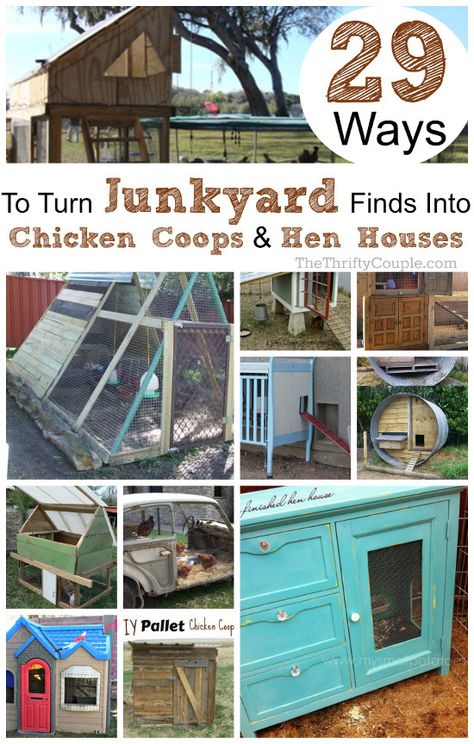 Use a trampoline, swingsets, dressers, cabinets, cribs, playhouses, pallets, armoire, cars and more. Unusual Chicken Coop, Duck House Ideas Diy Pallet Coop, Chicken Coops For 30 Chickens, Chicken Coop Made With Pallets, Chicken Coop Around Garden, Repurpose Chicken Coop, Bunk Bed Chicken Coop, Upcycled Chicken Coop Ideas, Pallet Coop Chicken